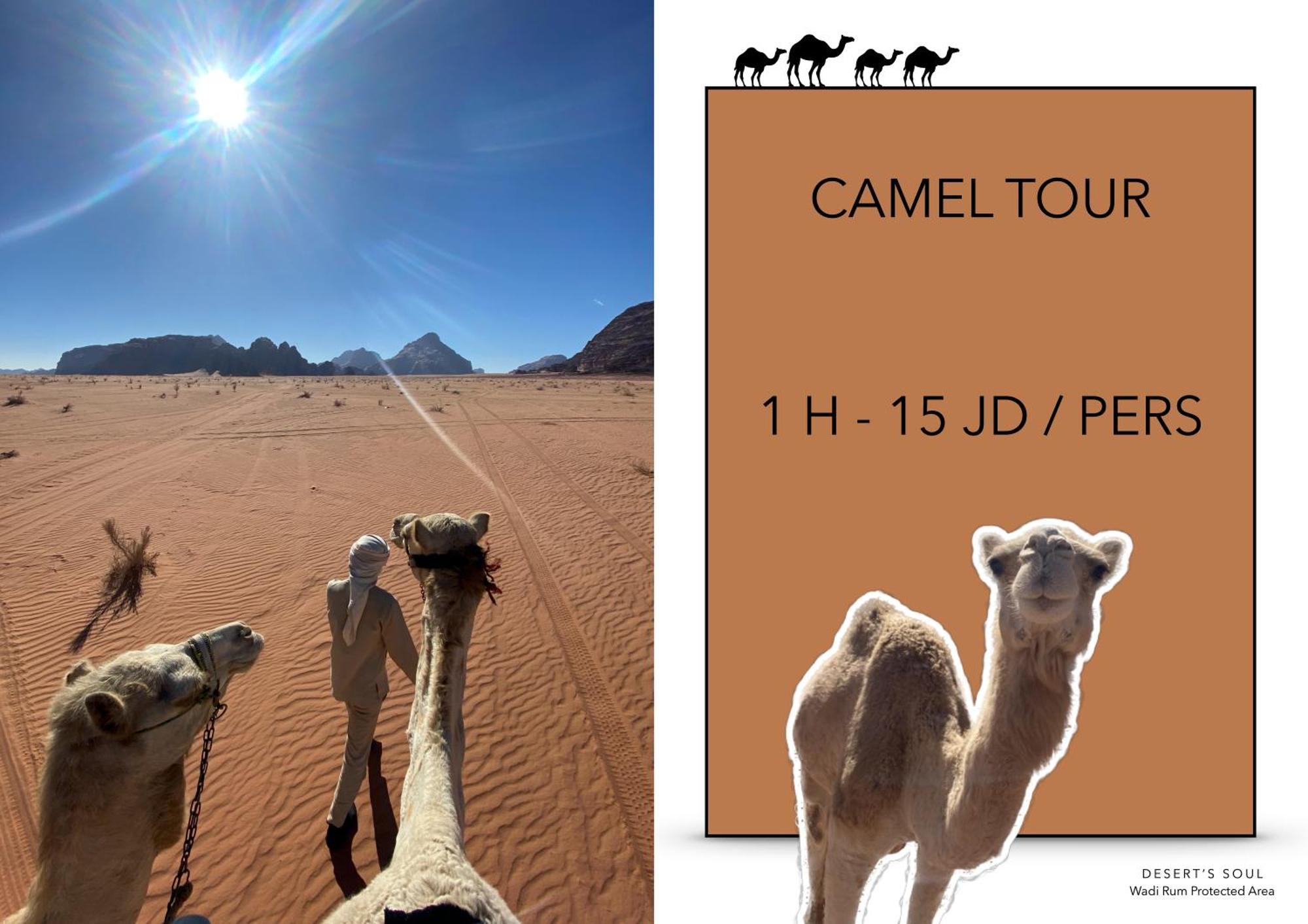 Desert'S Soul Wadi Rum Ad Disah Buitenkant foto