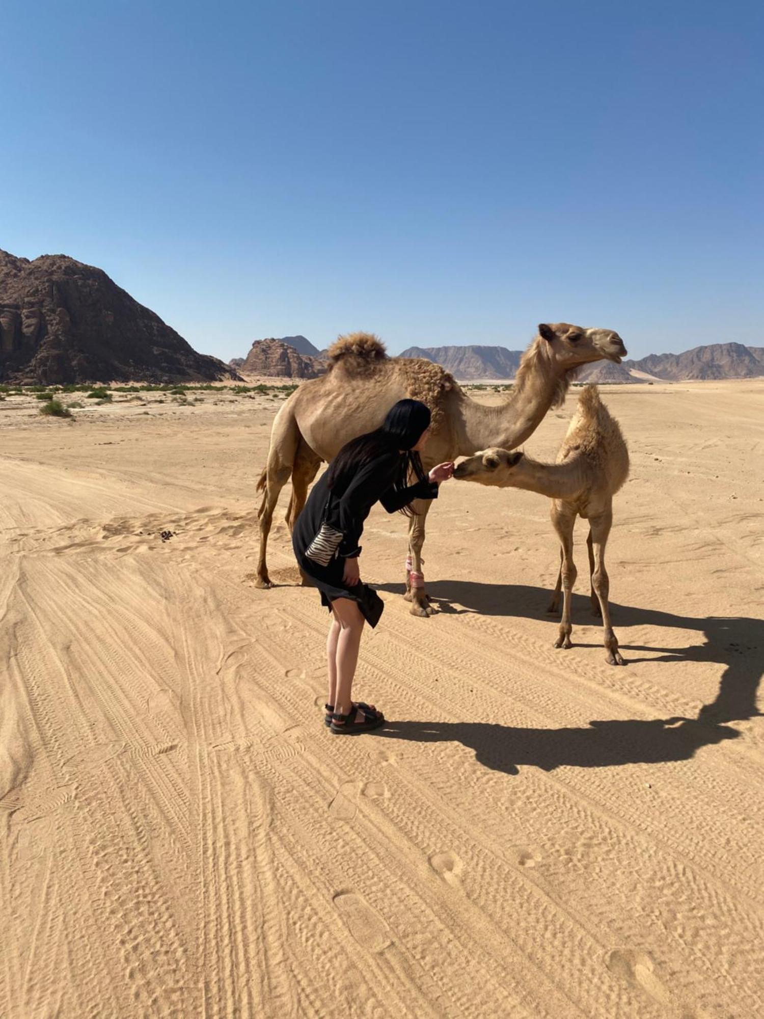 Desert'S Soul Wadi Rum Ad Disah Buitenkant foto